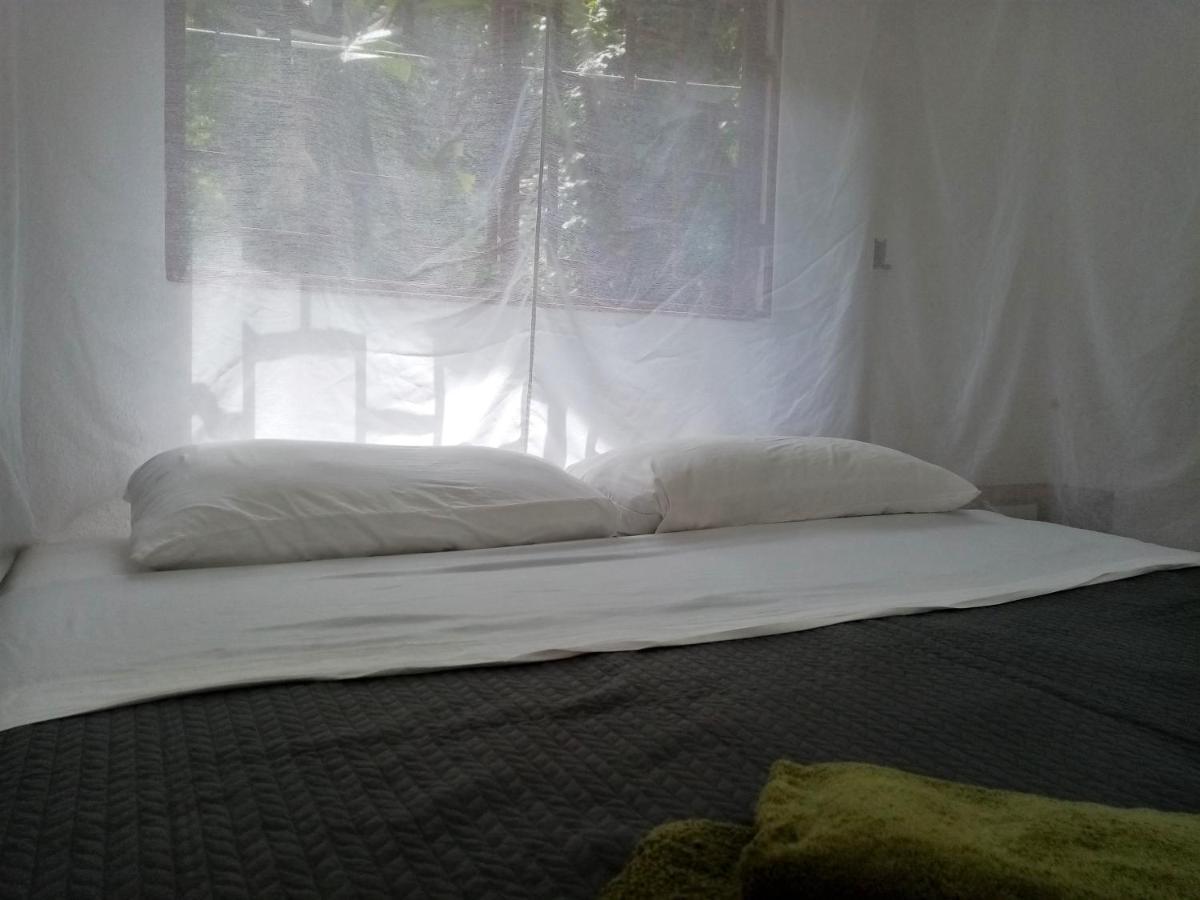 Bolita Trails And Lodging Dos Brazos Luaran gambar