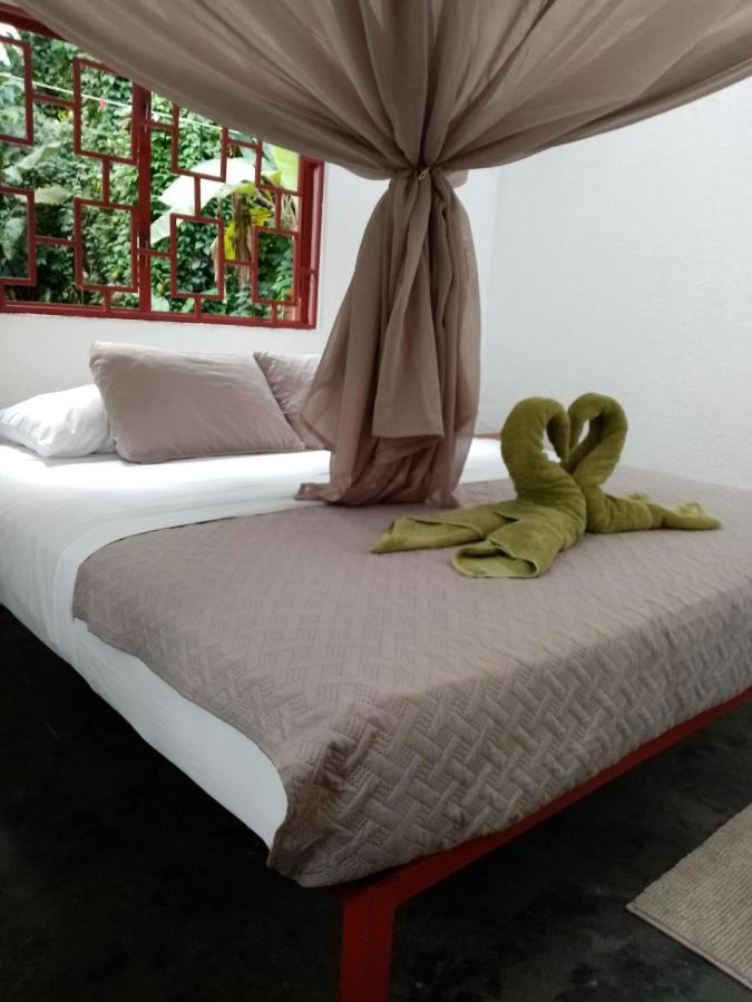 Bolita Trails And Lodging Dos Brazos Luaran gambar