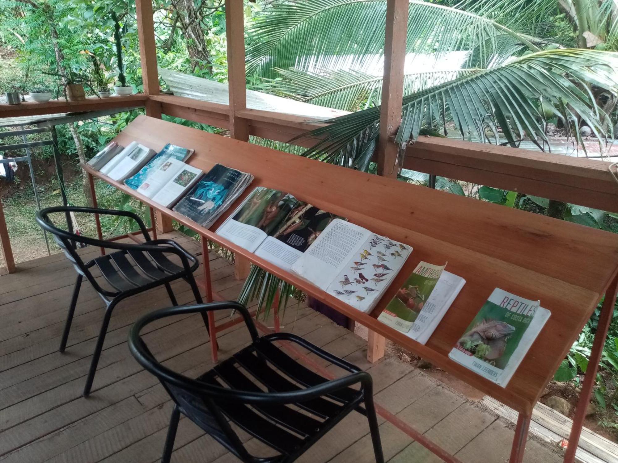 Bolita Trails And Lodging Dos Brazos Luaran gambar